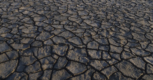 Drought in the Marshes of Camargue, Les Saintes Maries de la Mer, in the South East of France