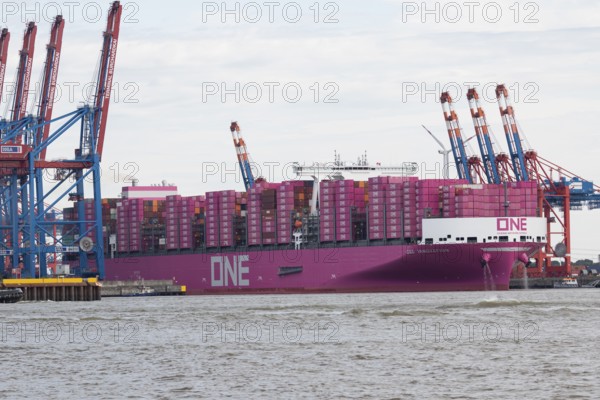 Pink container freighter One Innovation of the shipping company Ocean Network Express (Europe) Ltd.