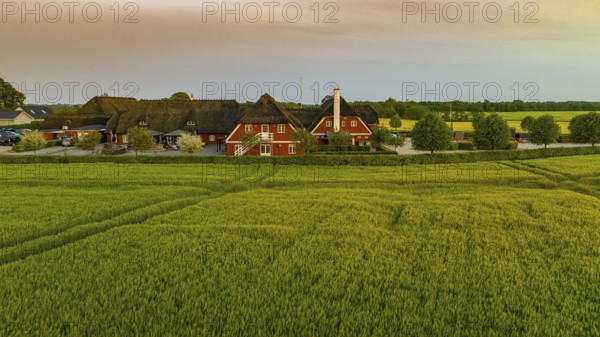 Aerial view, Denmark, Region Syddanmark, Christiansfeld, Agriculture and farms with grain and rape