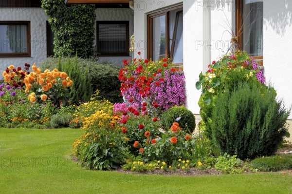 Baden-Württemberg, Black Forest house with flower garden in summer, different summer flowers in the