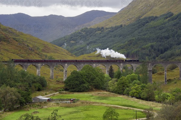 Steam Railway, Railway Viaduct, Glenfinnan, Highland, Scotland, Museum Train, The Jacobite, Harry