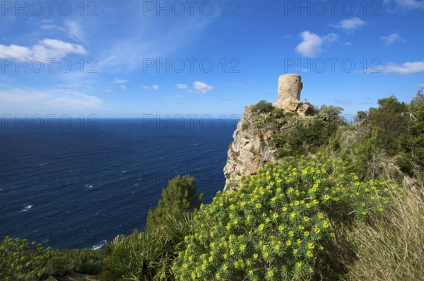 Torre de Ses Animes, Majorca, Balearic Islands, Spain, Europe