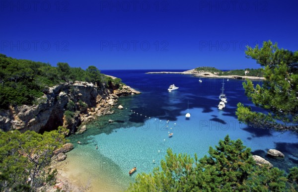 Bay near Portinatx, Ibiza, Balearic Islands, Spain, Europe