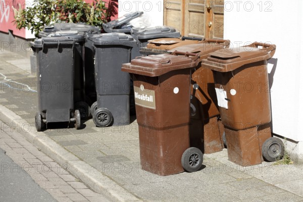 Organic bins and waste bins for residual waste, Germany, Europe