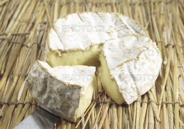 Camembert, French cheese, made in Normandy from cow's milk