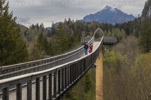 A family is enjoying the views from a treetop walk in Ziegelwies, a town near the border between