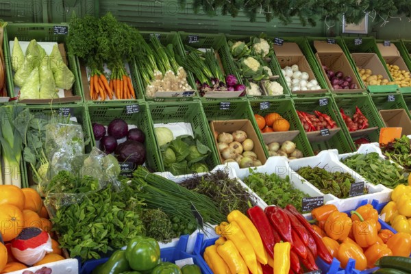 Display of vegetables for sale at the Viktualienmarkt in Munich