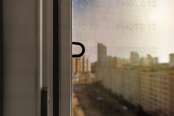 Open window with a mosquito screen to prevent insects and bugs, like flies, bees, mosquitoes or