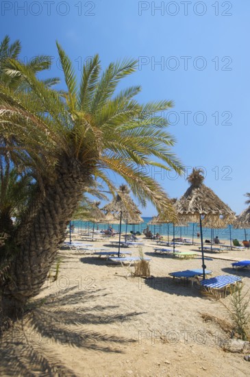 Palm Beach Vai, Crete, Greece, Europe