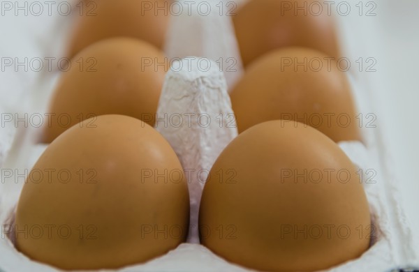 Closeup of brown eggs in white carton