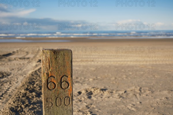 Wooden pile on the North Sea, sandy beach, Zandvoort, Netherlands