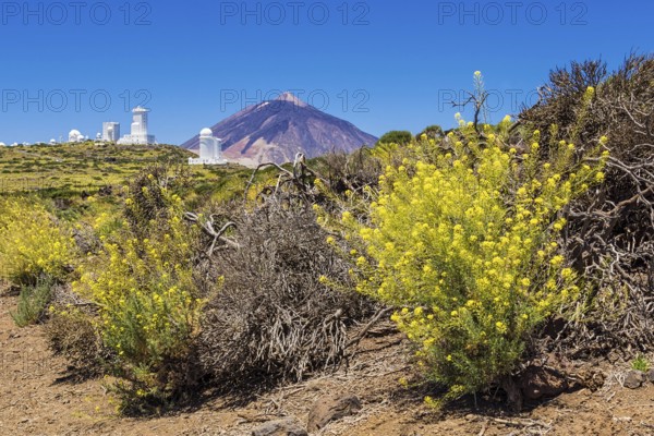 The Teide volcano on Tenerife