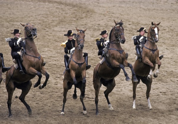 The Cadre Noir, an Equestrian Display Team based in the city of Saumur in western France