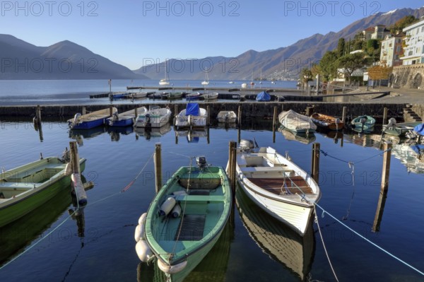 Old harbour, Ascona, Lake Maggiore, Ticino, Lake Maggiore, Switzerland, Europe
