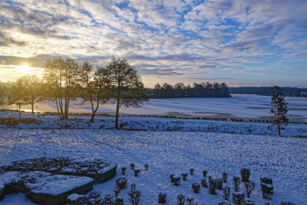 Sunrise in winter, pond, lake, trees, forest, long shadows, frozen, ice surface, mill pond, Wismar,