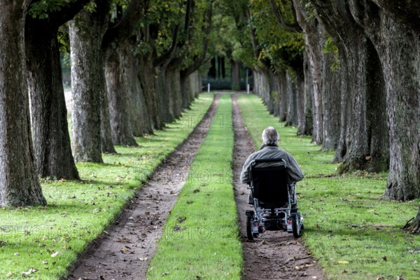 Wheelchair user in an avenue, Varel, district of Friesland, Lower Saxony