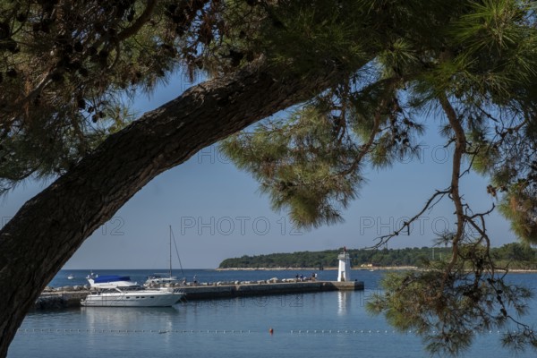 Novigrad
