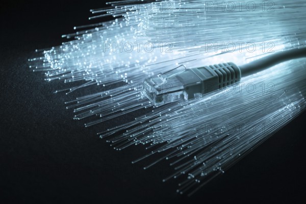 Blue optic fiber with ethernet cable Picture on pik. Resolution and high quality beautiful photo
