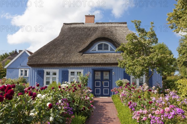 Thatched wooden house in Born