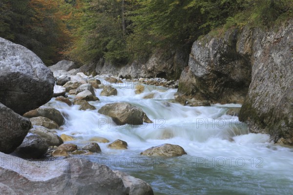 Autumn at Tiefenbachklamm or Tiefenbach Gorge, Tyrol, Austria, Europe