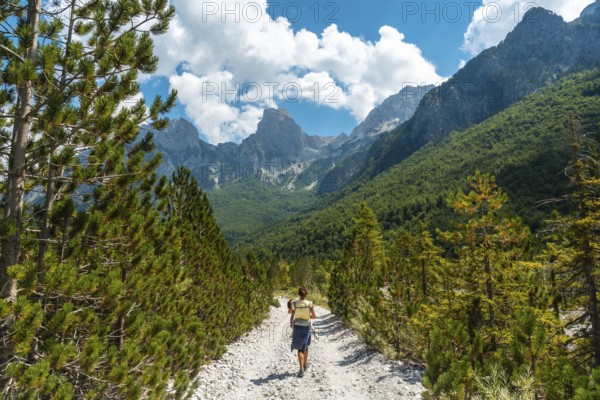 Woman hikers walking on Valbona Valley trail next to trees, Theth National Park, Albanian Alps,