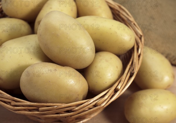 Mona Lisa Potato (Solanum tuberosum), Vegetables in Basket
