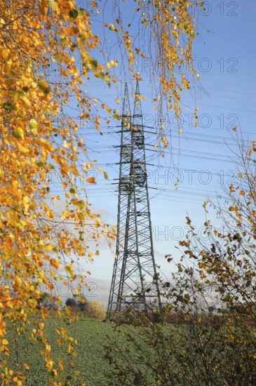 Electric overhead power pole in the field, power poles in the field, power lines, overhead power