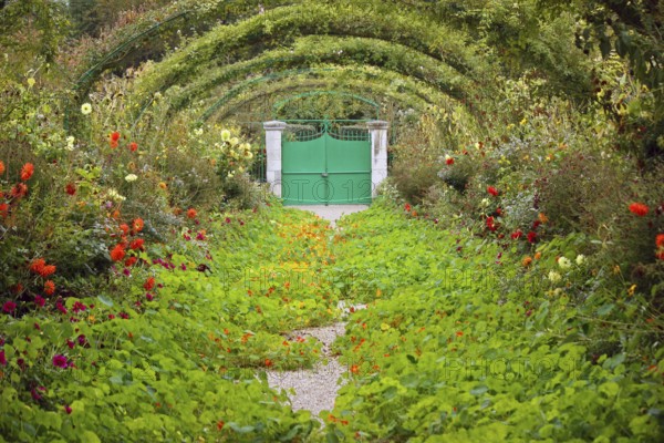 Monet's garden in Giverny, France, Monet's garden in Giverny, France, Europe