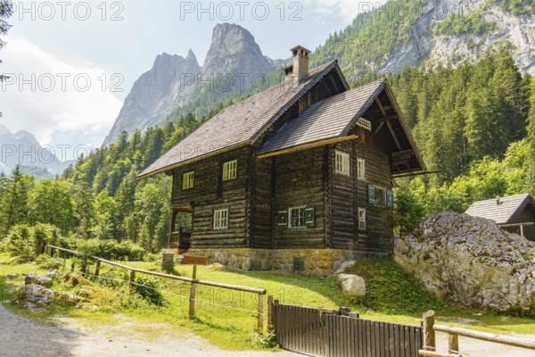 A traditional wooden house in the Alps, surrounded by a picturesque mountain landscape and lush,