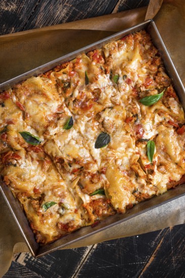 Close-up of a traditional italian lasagna made with minced beef bolognese sauce topped with basil