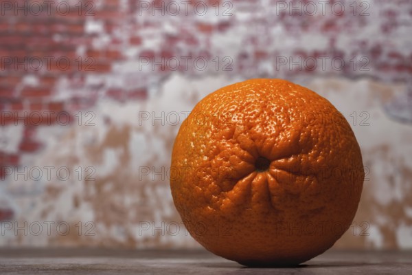 Close-up of a whole tangerine (oranges) (mandarins) (clementines) (citrus fruits) with a brick wall