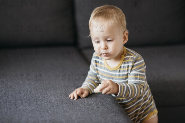 Baby boy eating sofa