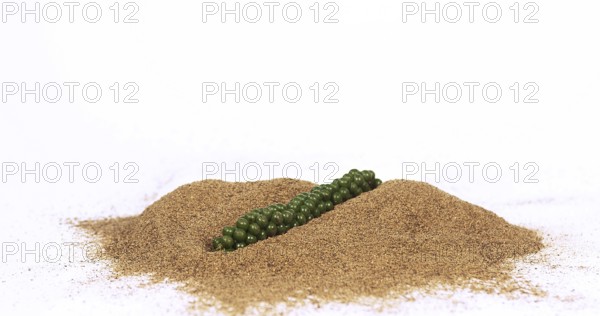 Fresh green pepper (piper nigrum), spice falling in pepper ground on white background