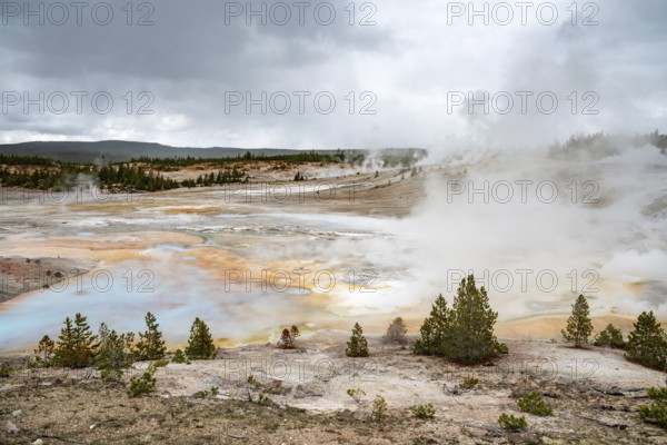 Norris Geyser Basin in Yellowstone National Park