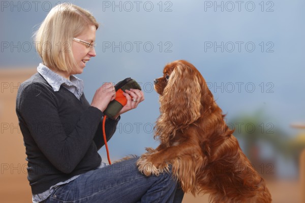 Woman with Cavalier King Charles Spaniel, ruby, Woman opens food dummy, expectant, dummy, lateral