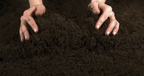 Handful of Soil