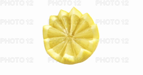 Yellow Lemon, citrus limonum against White Background