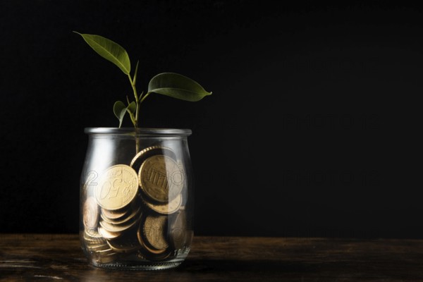 Front view plant growing from jar with coins copy space. High resolution photo