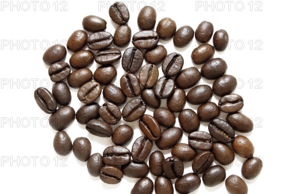 Coffee grains on white background