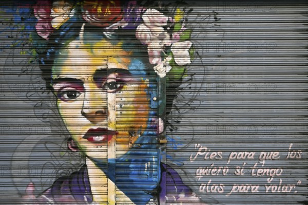 Frida Kahlo portrait on a garage door, Coyoacan, Mexico City