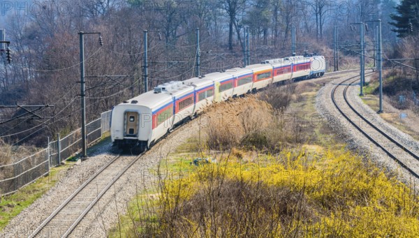 Train captured with slight motion blur passing through a woodland area in South Korea on a bright