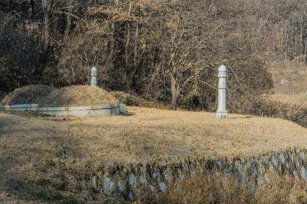 Unmarked burial mounds on flat piece of land in wooded area on side of mountain on sunny winter