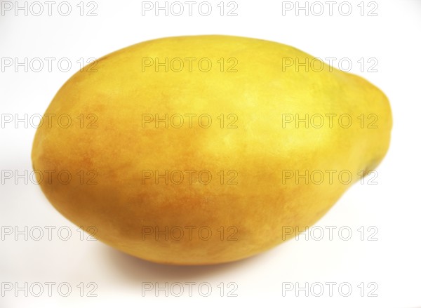 PAW PAW OR PAPAYA (carica papaya) FRUIT ON WHITE BACKGROUND