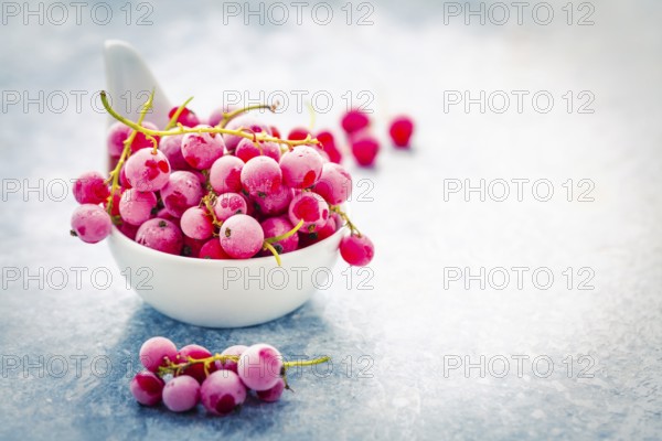 Frozen red currant in bowl on kitchen table