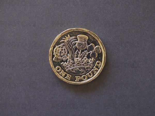 1 pound coin, United Kingdom, Europe