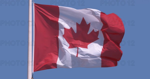 Canadian Flag Waving in the Wind against blue sky