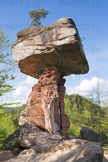 Spring at the Teufelstisch, rock formation, Palatinate Forest, Hinterweidenthal, Wasgau,