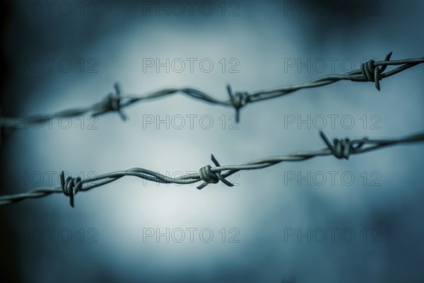 Barbed wire on a metal fence to demarcate the border, closeup, blurry background