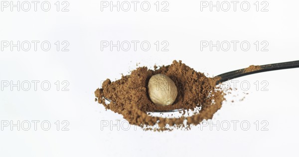Nutmeg, myristica fragans, Powder falling against White Background