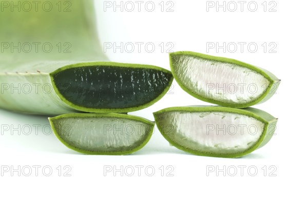 Aloe vera leaf slices isolated on white background, natural organic cosmetic ingredients for
